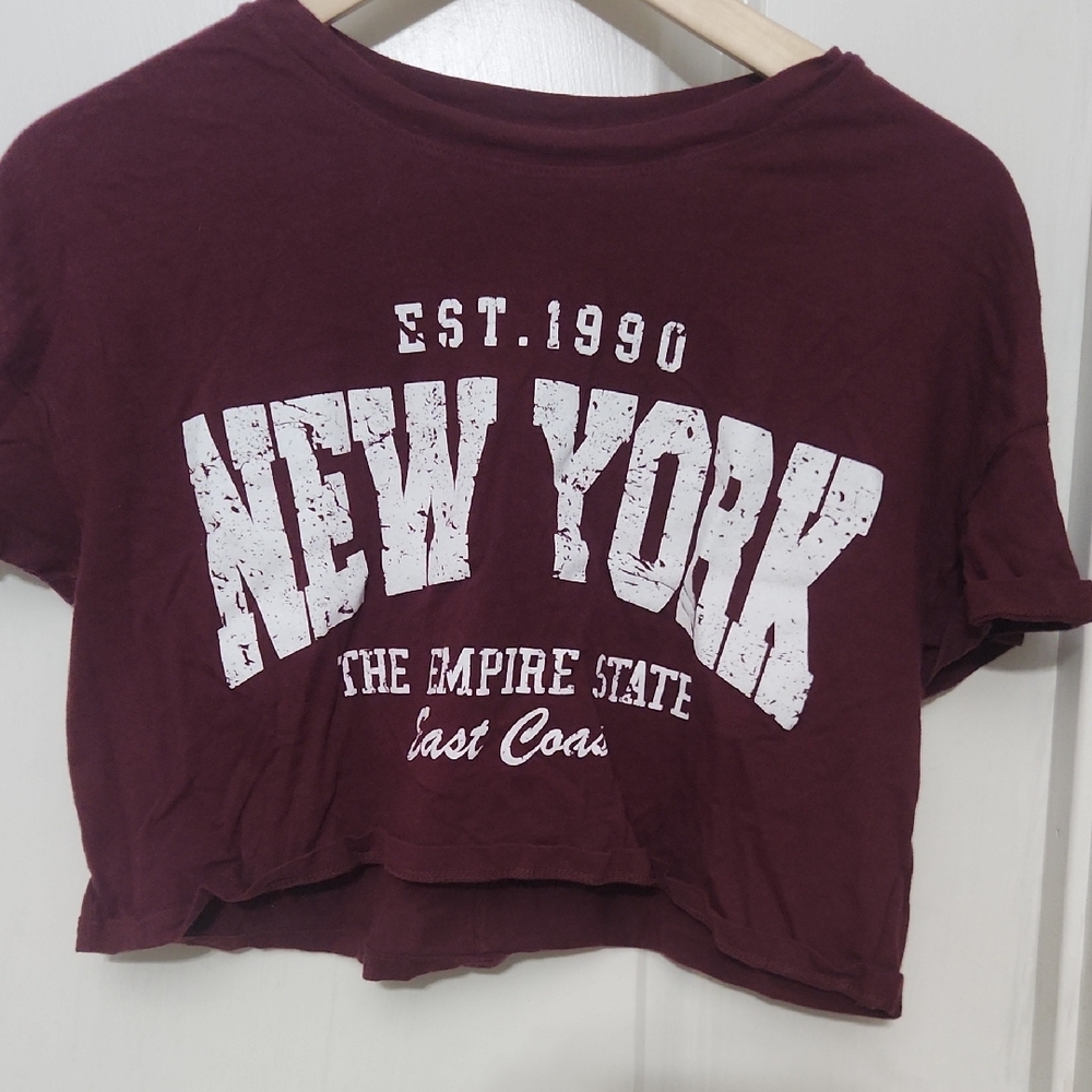 Empire State Burgundy Graphic Crop Top